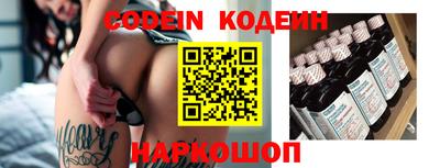 МДПВ Камышлов