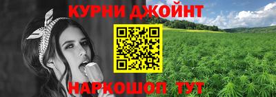 МДПВ Камышлов