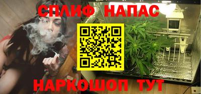 МДПВ Камышлов